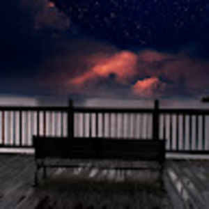 Meet your Posher, Damon